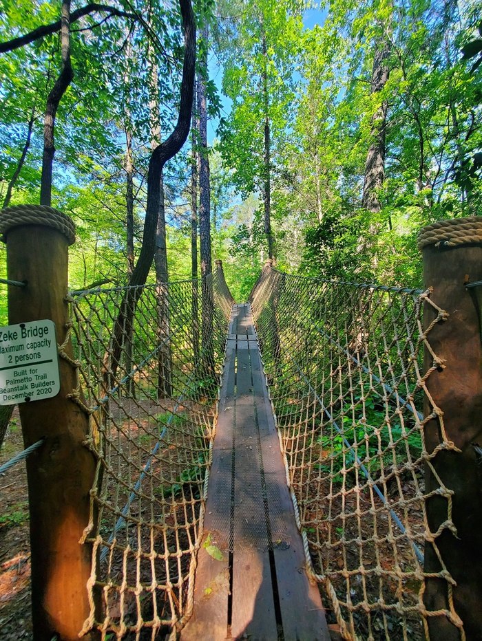 South Carolina State Park with Multiple Bridges