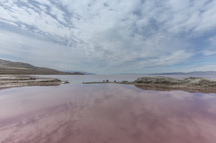 A Guide to Utah's Pink Lake at Stansbury Island