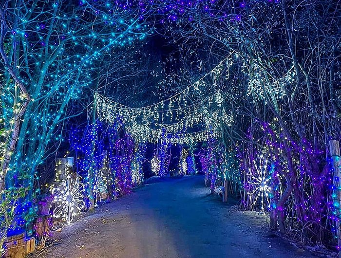 Go On A Rhode Island Adventure This Christmastime