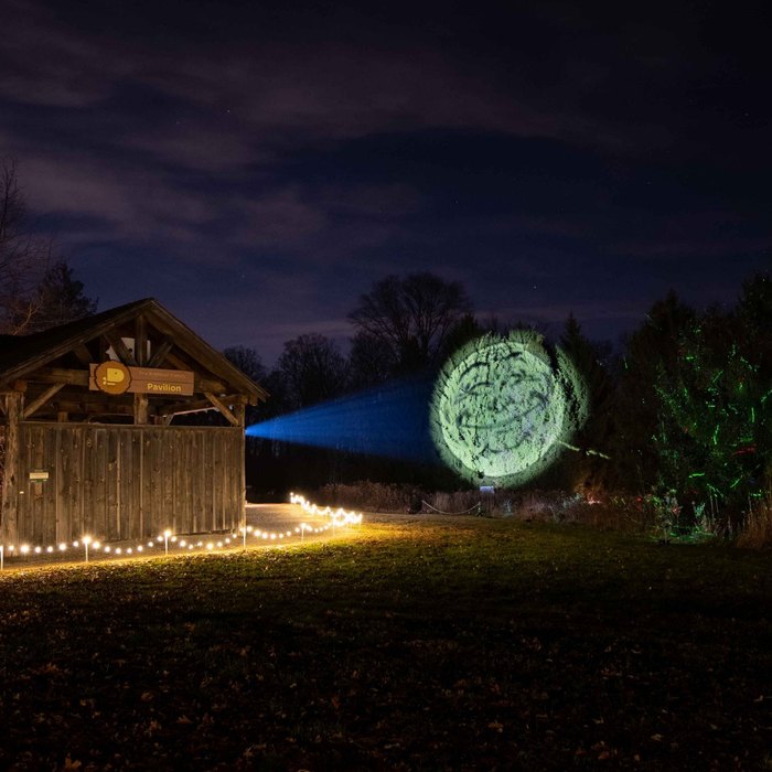 Cincinnati Nature Center, Things to Do, Light In the Forest