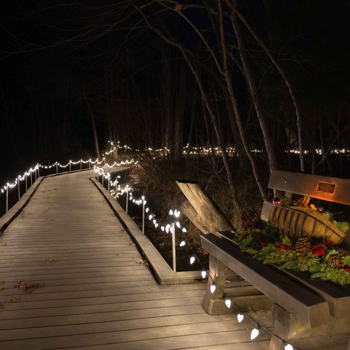 Cincinnati Nature Center, Things to Do, Light In the Forest