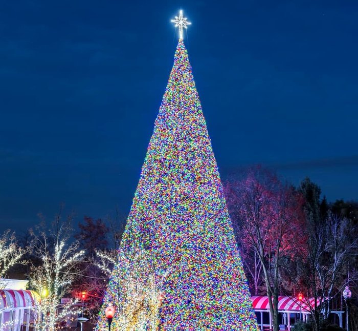 Marvel At The Christmas Tree At A Pennsylvania Amusement Park