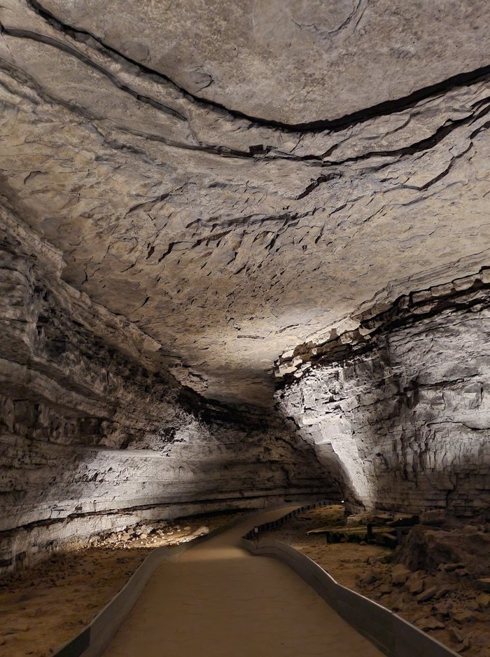 Explore The Longest Cave In The World On This Kentucky Tour   313317852 5934468296571671 1275599992071812093 N 