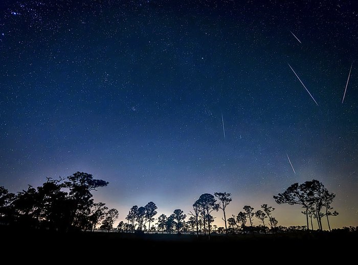 Geminid Meteor Shower Can Be Seen In Florida In December