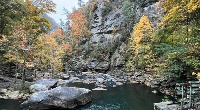 are dogs allowed at tallulah gorge