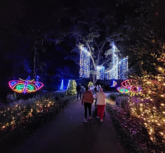 Beautiful Christmas Display In Alabama: Magic Christmas In Lights