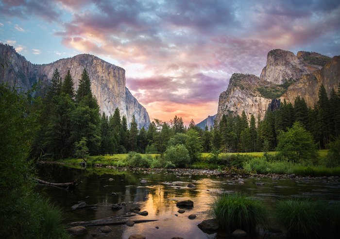 Yosemite Bear Gear Clearance - Yosemite National Park Tours & Activities