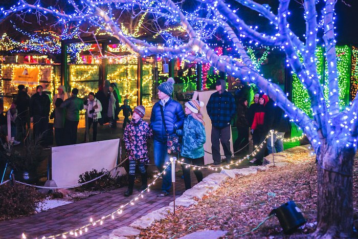 One last hurrah: Your final chance to see nearly 600k blue lights on a  Colorado home