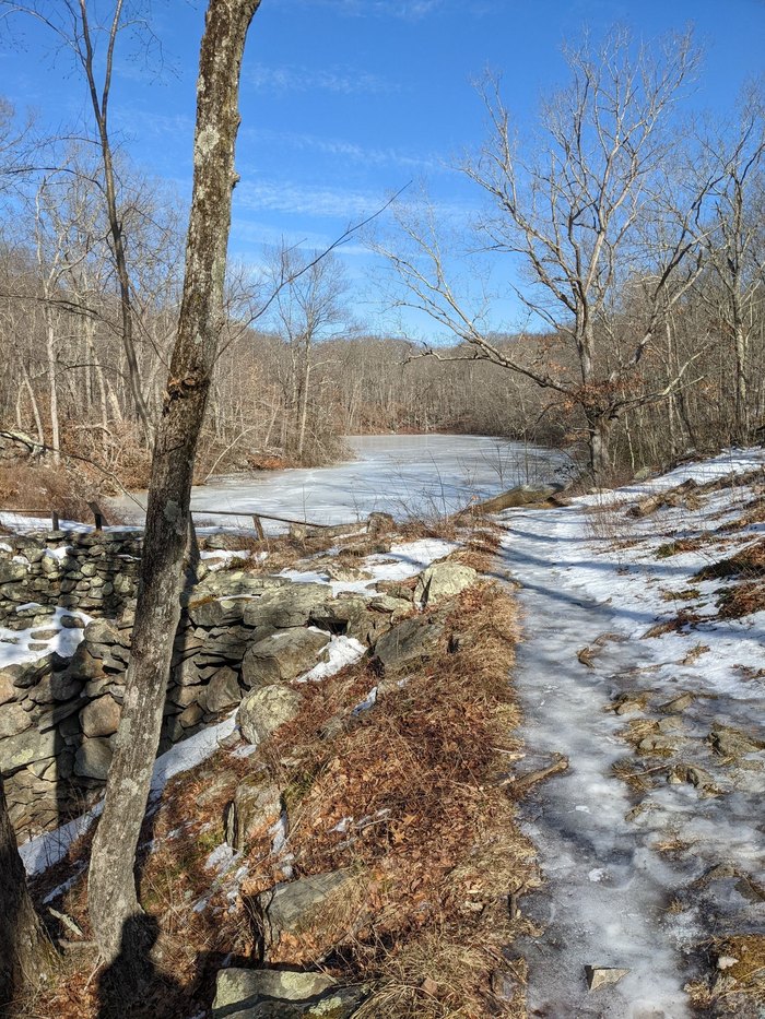 The pond - Picture of Lucius Pond Ordway / Devil's Den Preserve