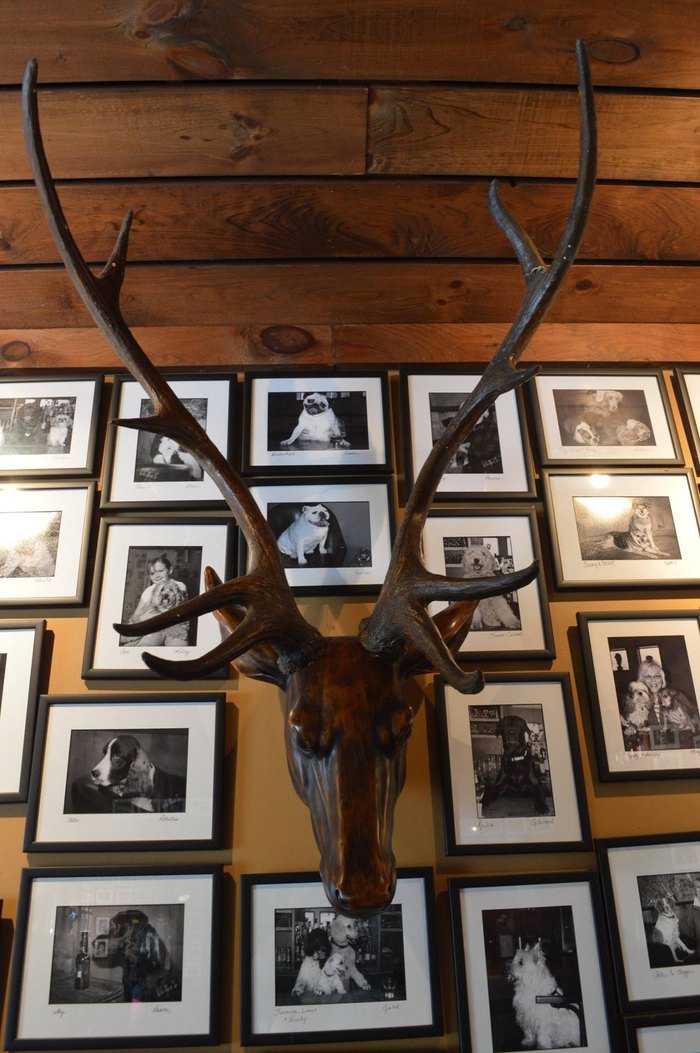 antlers-bar-is-the-oldest-bar-in-north-carolina