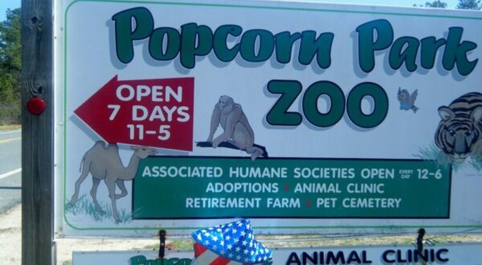 5 New Jersey Zoos and Animal Preserves to Check Out During