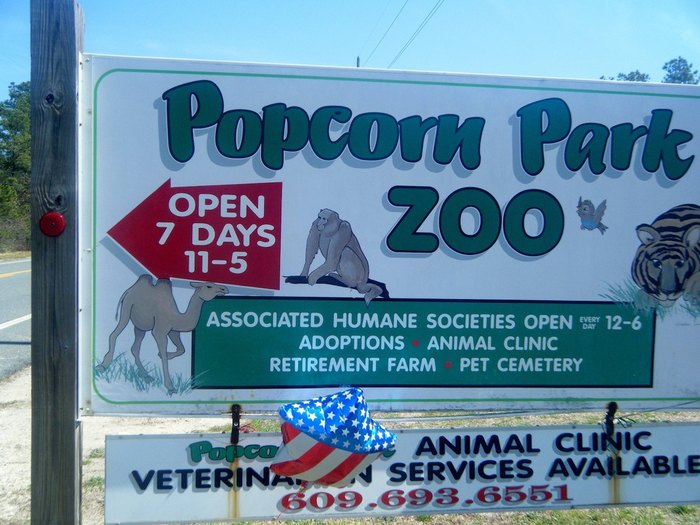 Popcorn Park Zoo – Lacey Township, New Jersey - Atlas Obscura