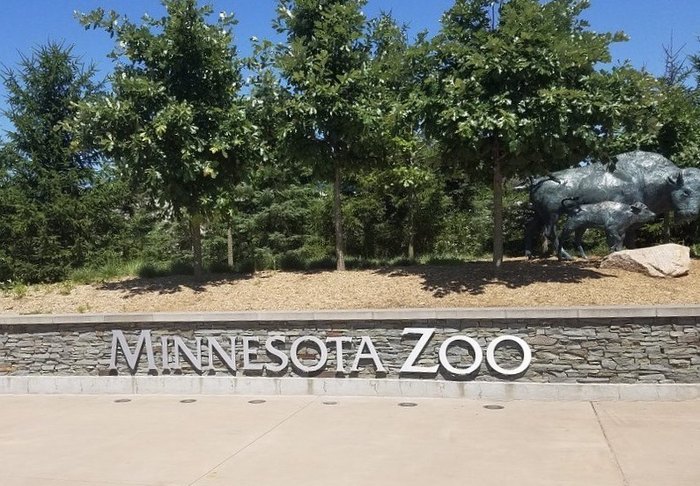 A New Minnesota Attraction Is Coming To The Zoo In 2023