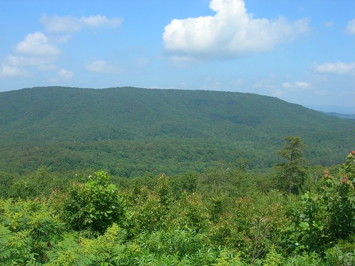 Talladega National Forest: A Beautiful National Forest In Alabama