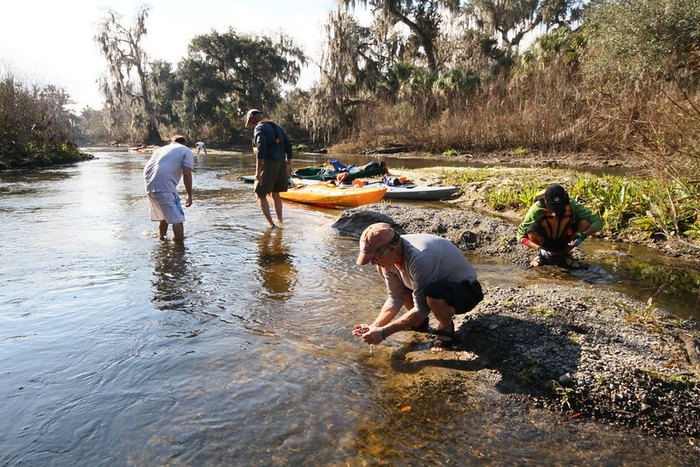 Search For Fossils At Peace River In Florida