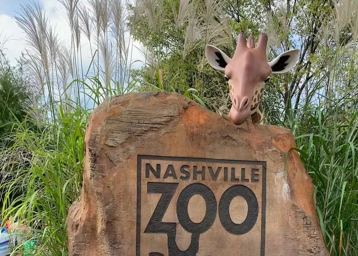 visit-all-the-animals-at-the-nashville-zoo-in-tennessee