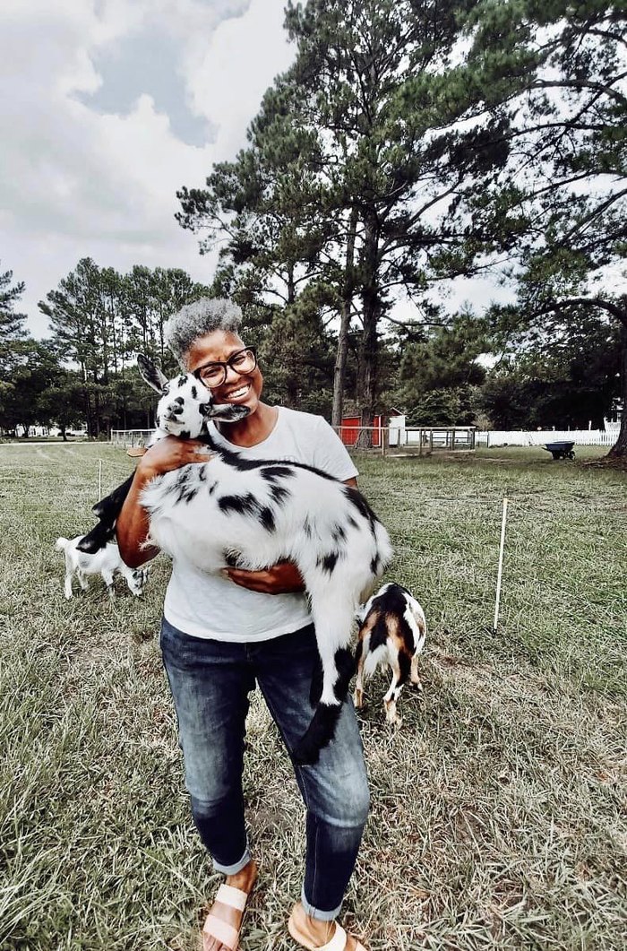 Play with Goats in South Carolina