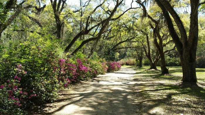 Best Things To Do In St. Francisville, Louisiana