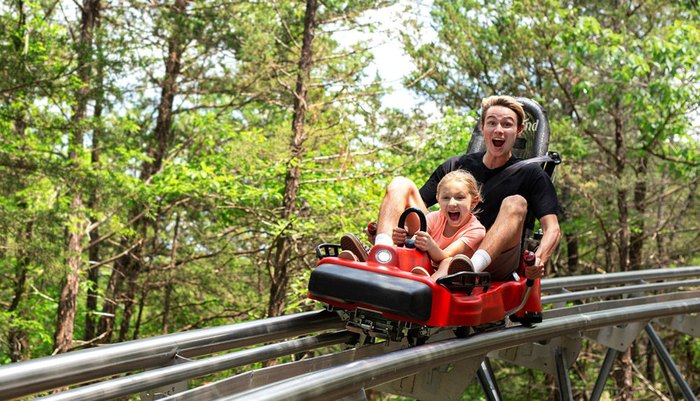 This Year Take A Ride On The First Alpine Coaster In Illinois