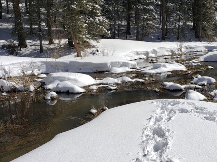 Spend Some Time At A State Park This Winter In New Mexico