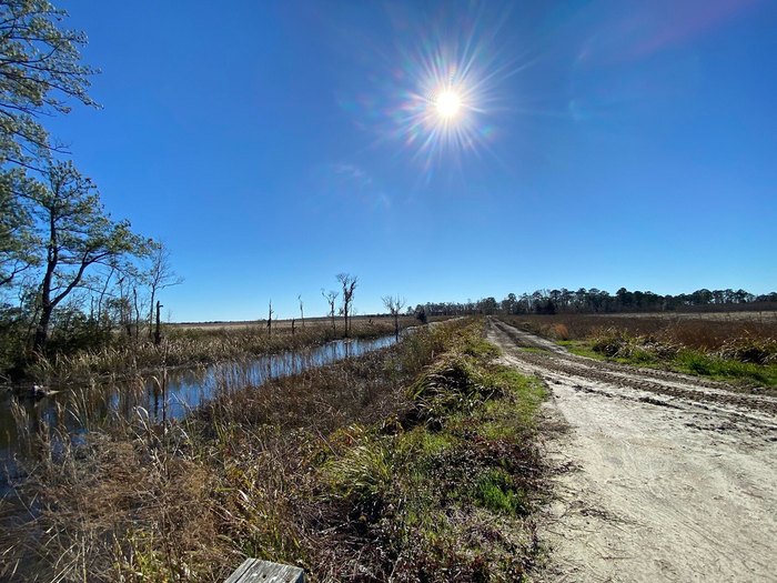 Trail in South Carolina