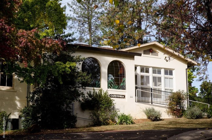 This Colfax Cafeteria Serves Home-Cooked Food In NorCal