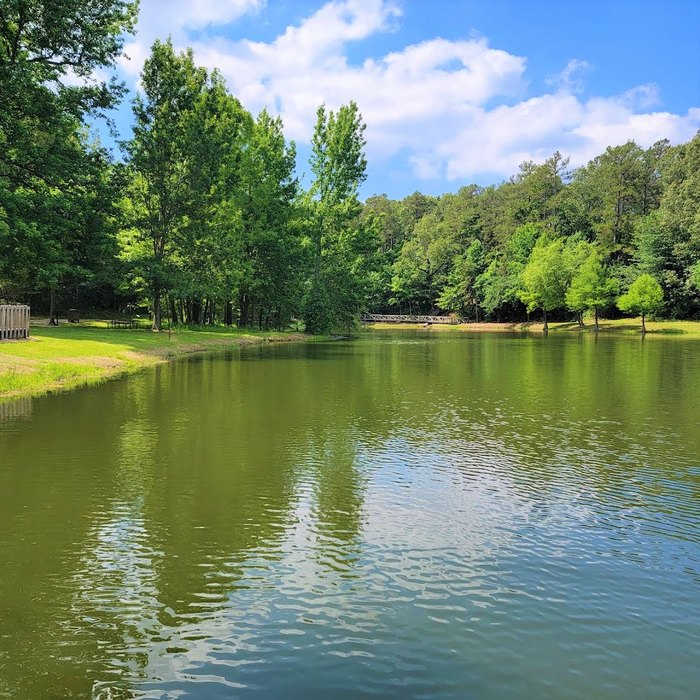 Where the Mississippi Meets the Mountains: Exploring Crowley's Ridge State Park in Arkansas