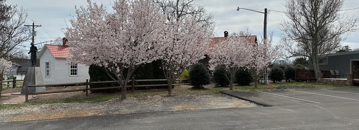 see-this-north-carolina-cherry-blossom-festival-in-cherryville