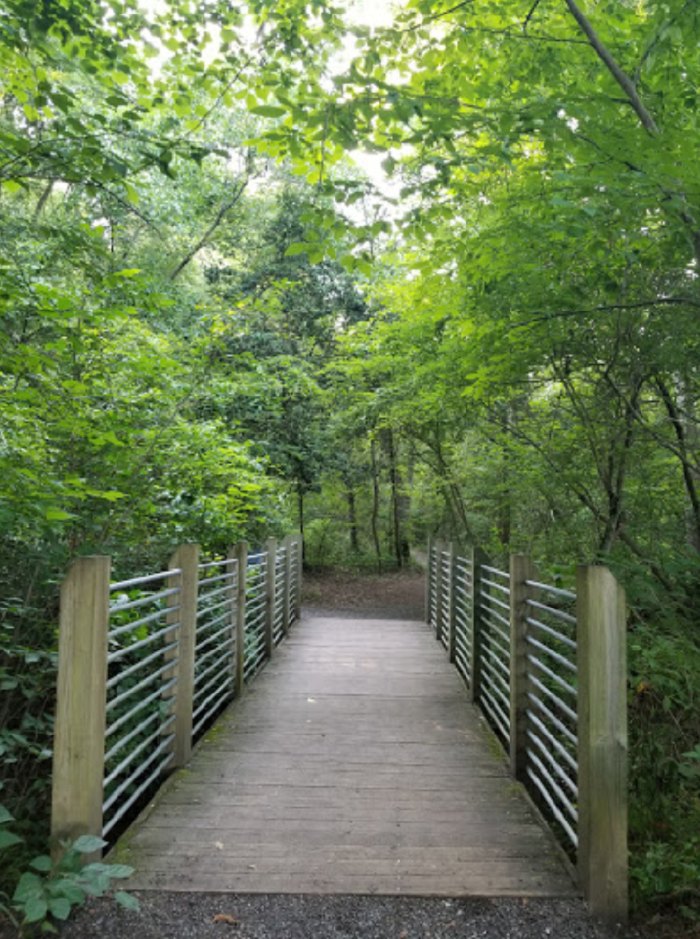 Beautiful Hiking Trail in South Carolina