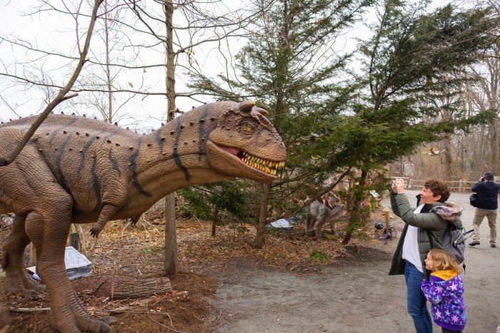 Dino Scavenger Hunt with Roger Williams Park Zoo