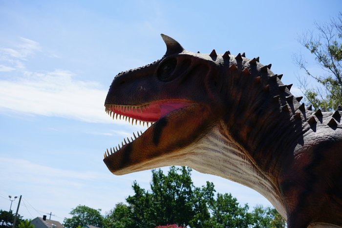 Jurassic Encounter lands at Bull Run Regional Park, Headlines