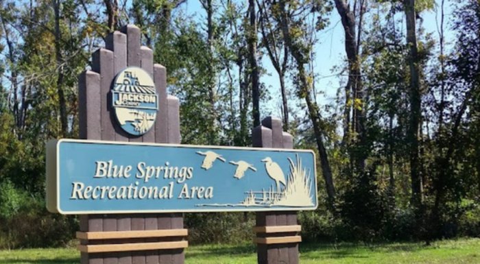 Blue Springs State Park: A Pristine Gem of Central Florida – Amanda Meets  World