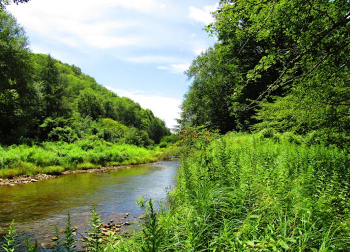Laurel Fork Wilderness North Remote Spot In West Virginia