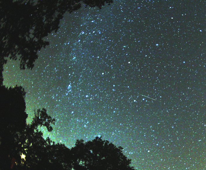 See The Perseid Meteor Shower In NJ At Penn State Forest