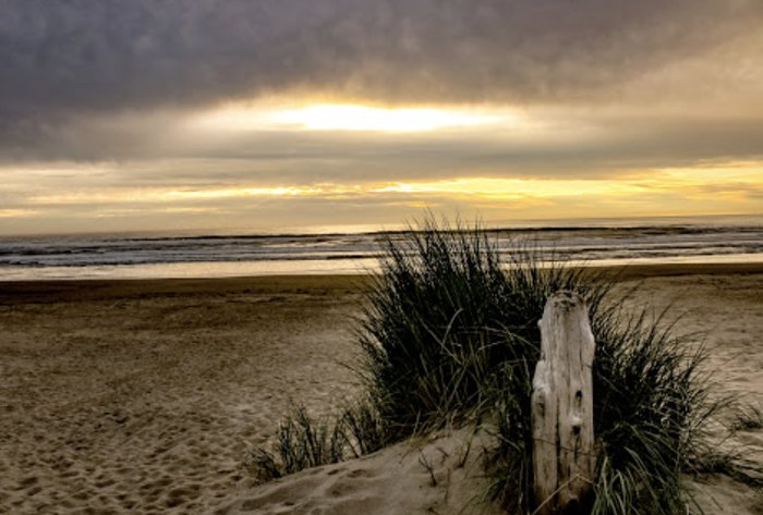 One Of The Best Coastal Towns In Oregon Is Manzanita
