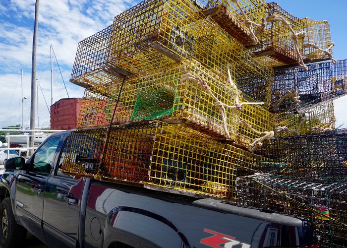 lobster cages on truck