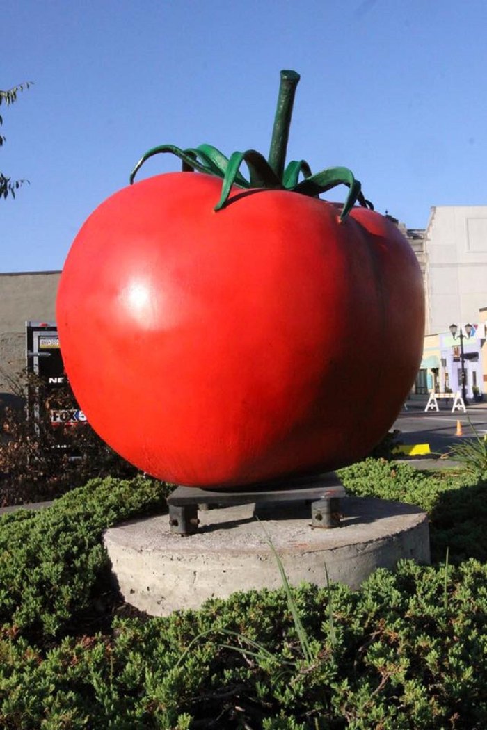 Tomato Festival In Pittston, Pennsylvania