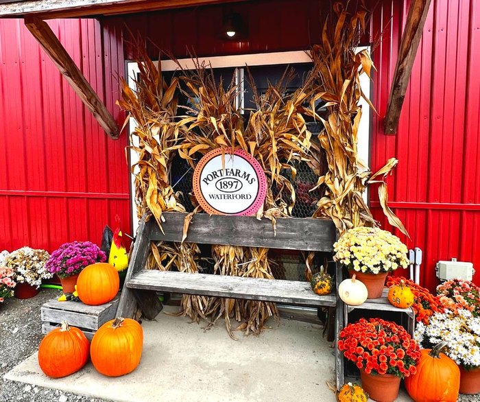 A festive sign with corn stalks and pumpkins reads "Port Farms"