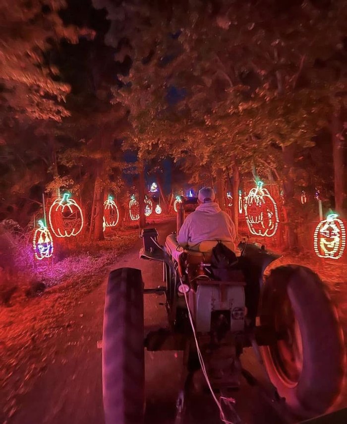 A person rides a tractor through a Halloween themed light show.