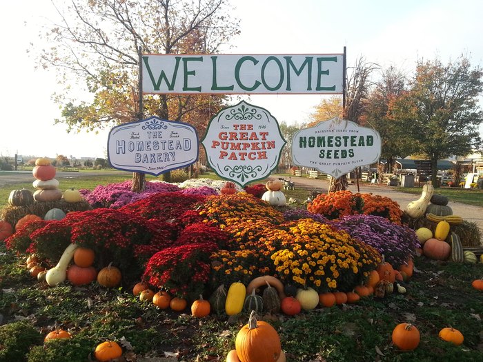 largest pumpkin patch in Illinois