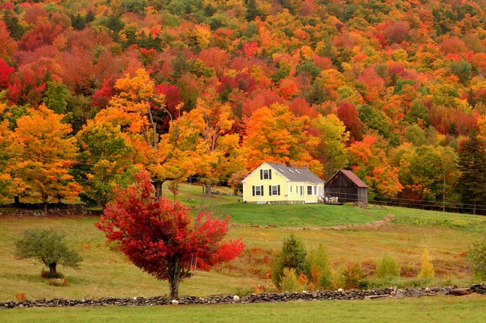 When Do Leaves Change Color In Vermont 2023