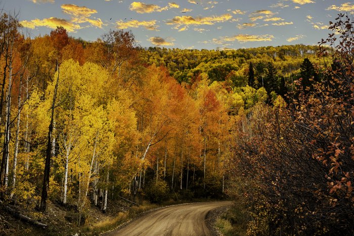 Colorado fall colors forecast 2023