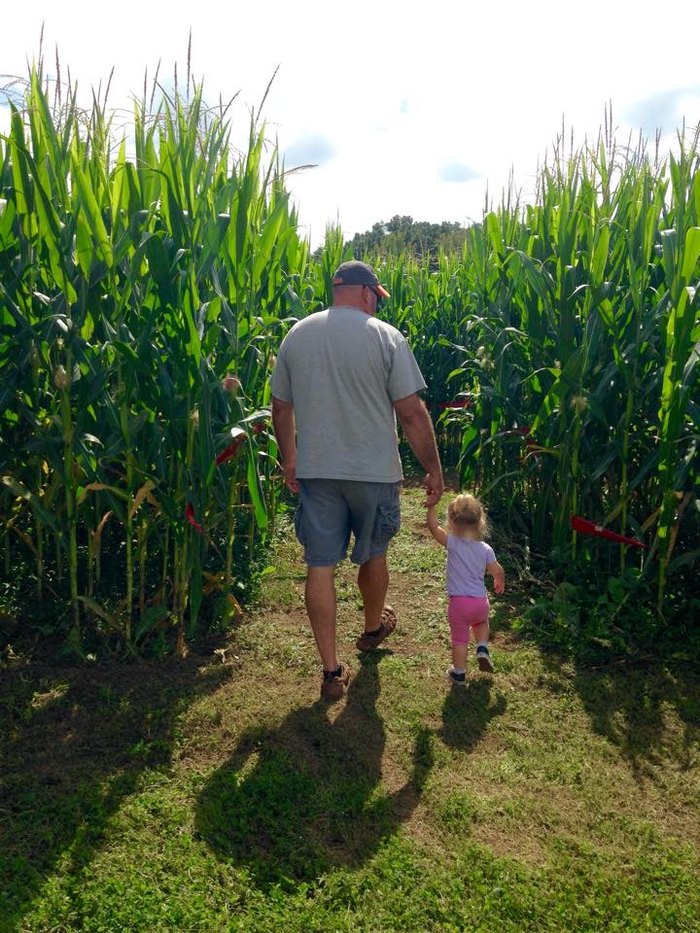Corn Maze near Greenville
