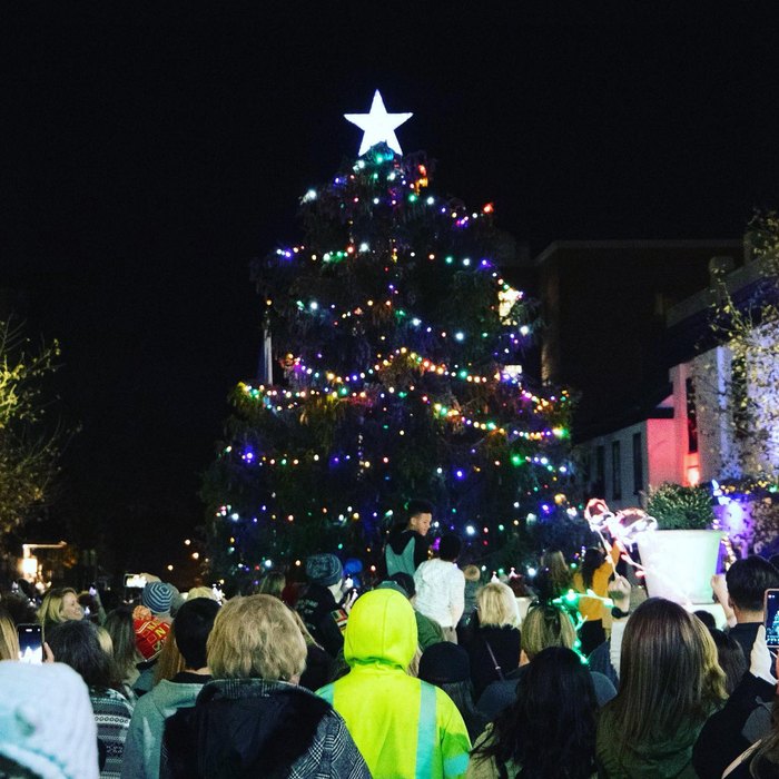 Best Christmas Events In Martinsburg, West Virginia Tree Lighting