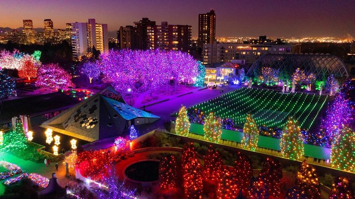 9 Christmas Light Displays In Colorado