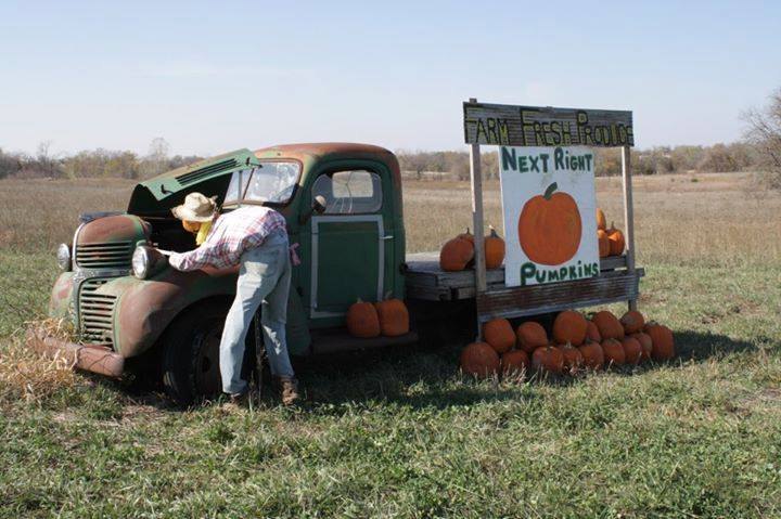 Don’t Miss These 9 Great Pumpkin Patches In Kansas This Fall