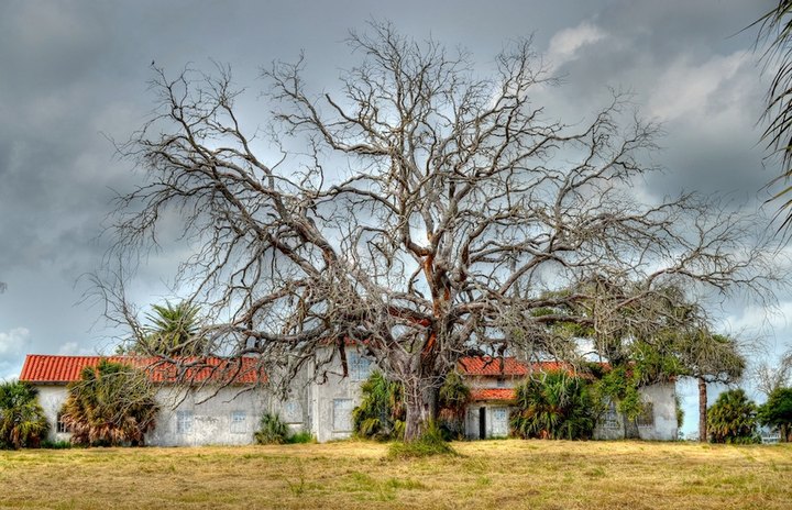 You'll Never Believe What's Hiding Inside The Walls Of This Abandoned Texas Mansion