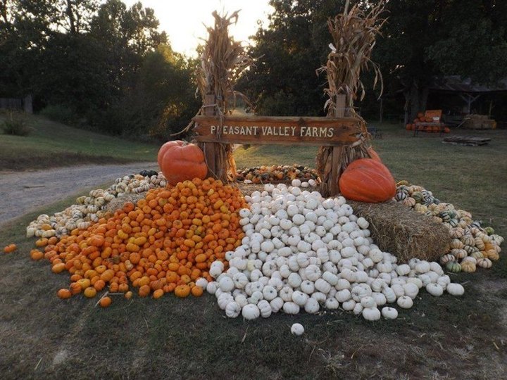 Don't Miss These 9 Great Pumpkin Patches In Oklahoma This Fall