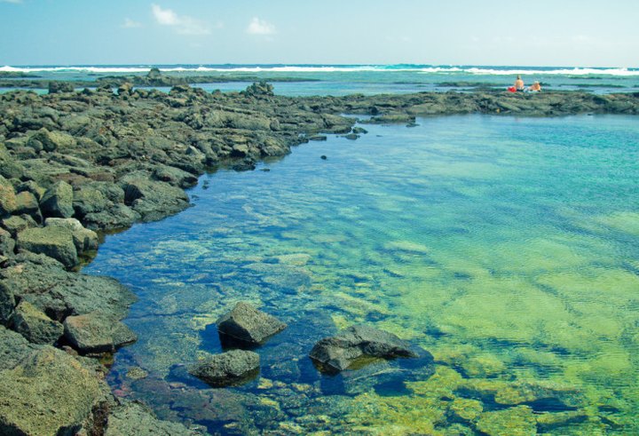 Here Are 8 Hawaii Tide Pools That Will Make Your Weekend Epic