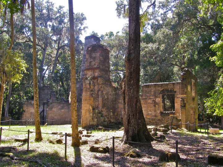 The Bulow Woods Trail In Florida Takes You Past A 400-Year-Old Tree, Ruins And More